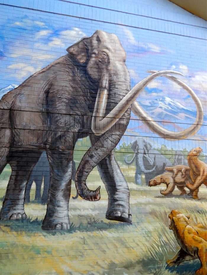Denver paleo mammoth
mural painting lakewood ColoradoBest Western Hotel