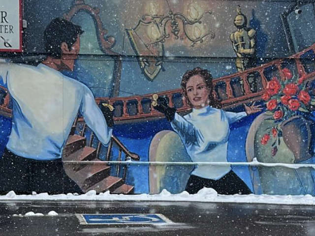 Denver Fencing Center Murals ruby hill arts