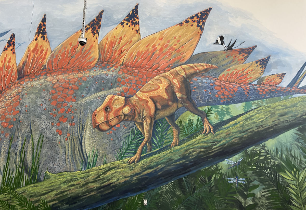 Denver dinosaur mural painting lakewood Colorado Paleoart dino murals Best Western Hotel