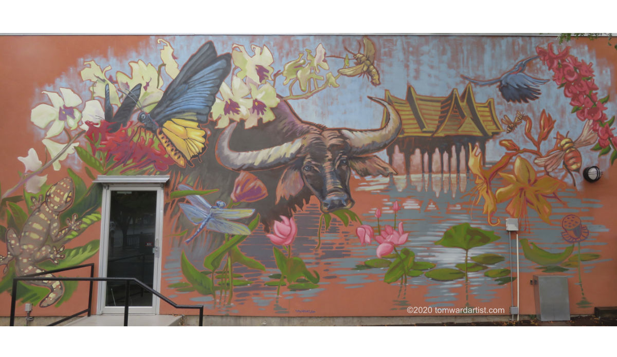 denver mural artist Colorado Tai rain forest painting
